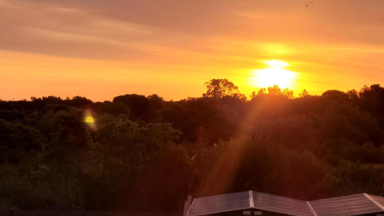 Gite Du Soleil Maison Lumineuse Avec Terrasse Solarium Parking Prive Sorède Eksteriør bilde